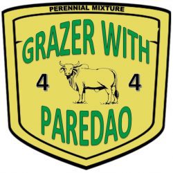 Forage Pasture Seeds / Forage Seeds / Pasture Seeds / Forage grass