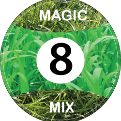 Magic 8 Mix2